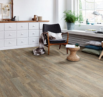 IVC Greenline Oslo 538 фото 2 | FLOORDEALER